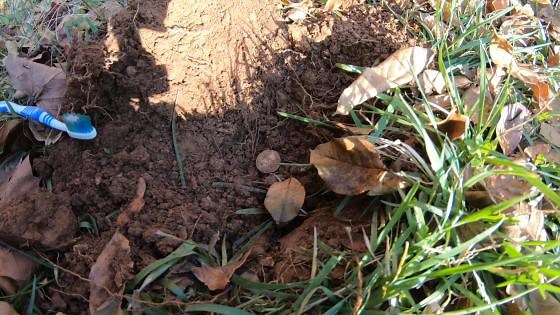 We got a surprise while detecting this old house for coins