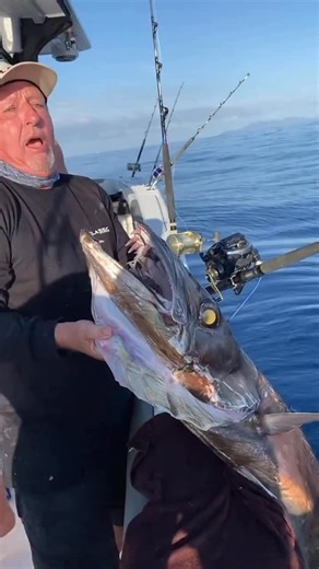 1.3K views · 5.2K reactions | Dinosaur chasing 24/7  Connecting the fishing world with the best charters on the planet and exclusive member deals.  This is just the beginning.  Join now → www.aclassic.co #fishing #fish #fishinglife #bluewater #nature | Aclassic | Facebook