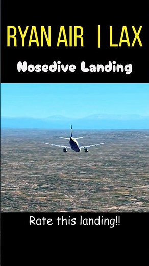 Did This Plane Just Crash Land at LAX?