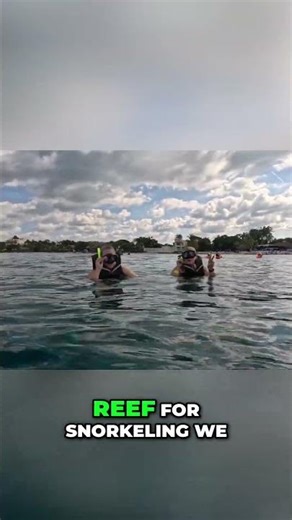 Snorkel Secret Spot! Stingrays, Nemo Fish & Coral Reef! 1