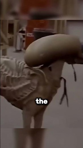 Xenomorph Dog Costume #shorts #fact #facts #interestingfacts #movie #alien #moviefacts