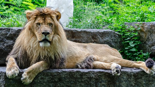 What’s New in Adobe Lightroom Classic 14.0: Key Updates Explained | Fstoppers