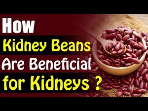 Karma Ayurveda Facts on Kidney Beans for Kidneys | Karma Ayurveda Hospital