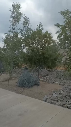 Cuentas recomendadas