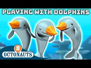 ​‪@Octonauts‬ - Playing with Dolphins 🐬 | National Dolphin Day | 70 Mins+ Compilation