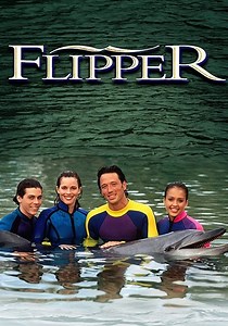 Flipper Season 3 - watch full episodes streaming online