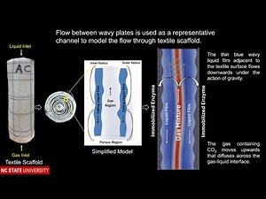 V-008: Interface Resolved Simulation of Two-Phase Counter Current Flow for CO2 Absorption