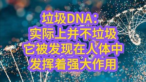 垃圾DNA：实际上并不垃圾，它被发现在人体中发挥着强大作用