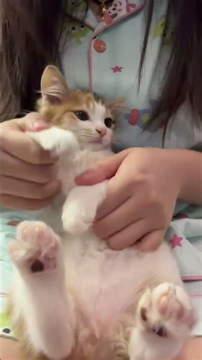 Childhood Lookalike: Last Year's Star's Cutie December Moment Childhood Star