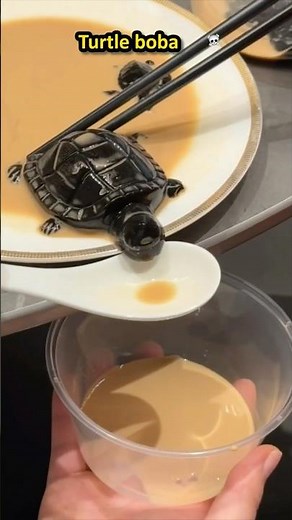 Normal Boba Tea VS Turtle Boba