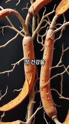 고구마줄기 속 숨겨진 영양소