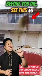 What You’re About to See Happens Right After You Die 😳