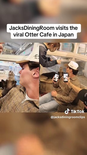 Exploring Japan's Cutest Otter Cafe