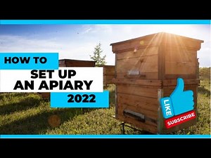 HOW TO SET UP AN APIARY
