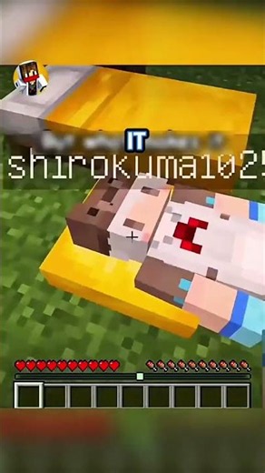 The best bug#minecraft