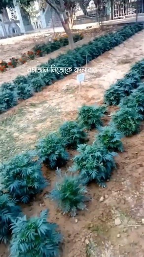 #shorts #waz #allah #love #ইসলামিক_ভিডিও ‪@MdSujan-g1w‬