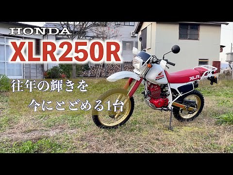 ホンダ【MD16 1985年 XLR250R】往年の輝きを今にとどめる1台