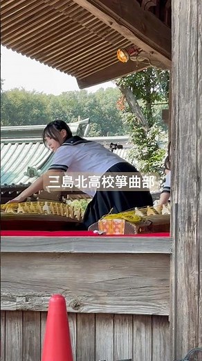 お箏を弾く #高校生 #箏曲 #演奏 #静岡県 #三島市 #お箏 #演奏動画 #三島 #高校 #japan #music #女子高校生 #部活 #部活動 #三嶋大社 #舞台 #演奏会 #夏祭り