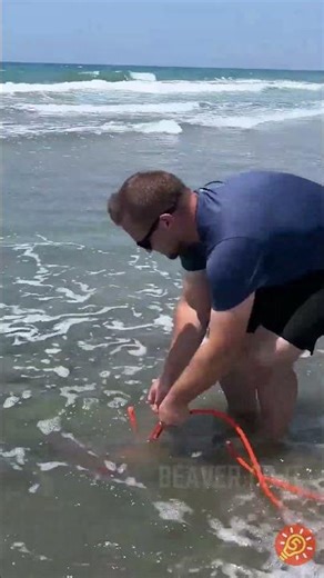 Tesouros magnéticos: ímãs gigantes em ação 🧲