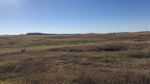 Watch The Perfect Whoa Online | Vimeo On Demand