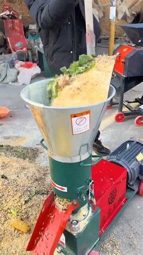 Corn Crusher Machine for Poultry & Cattle Feed Maize Grinder Demo #corncrusher #farmequipment #viral