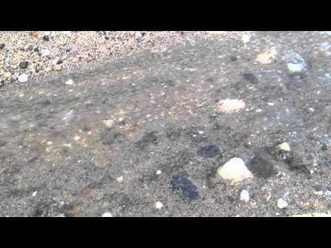 Transportation of sediment in a river