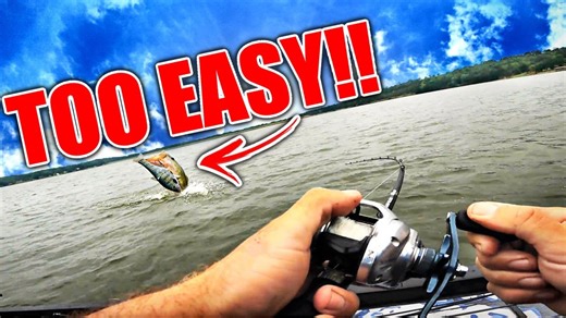 Call your shot using massive swimbait for giant bass