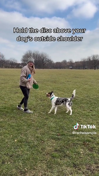 Teach Your Dog to Backflip: Another Training Method