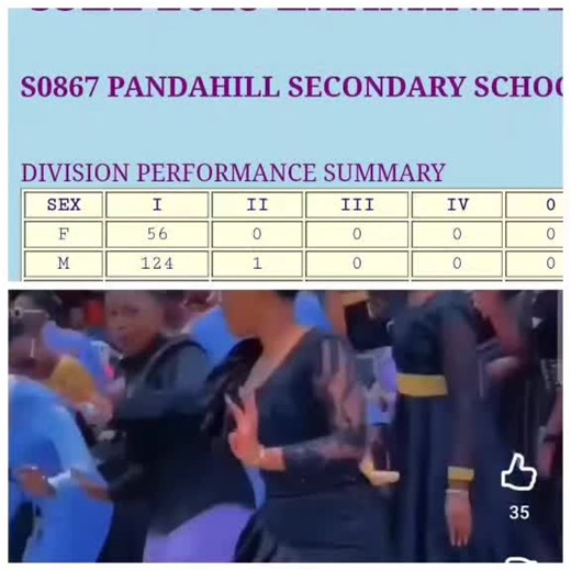 Tanzania Form Four Results 2025 Explained