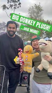 Was I Just Gifted the COOLEST Donkey Shrek Plush Ever??