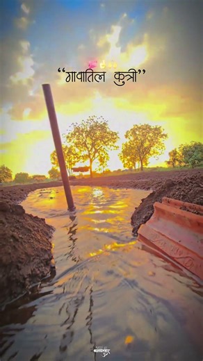 गावातिल कुत्री..!!🙌💯 #viral #agriculture #शेतकरी #motivation #baliraja #farming #kheti #love #farmer