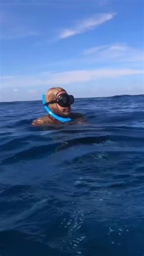 We stone cigars when big fish are gone