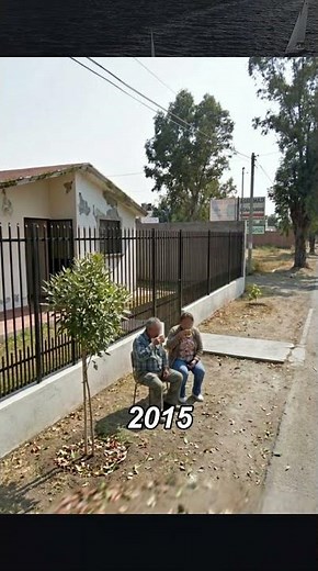 Mexico City Street View 2005–2025: A Family & a Ash Tree #shorts #mexicocity