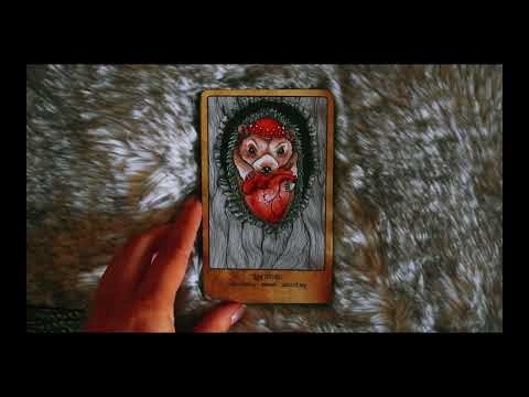 The Wild Side Oracle | All the Way from Sweden! | Animal Oracle Cards!
