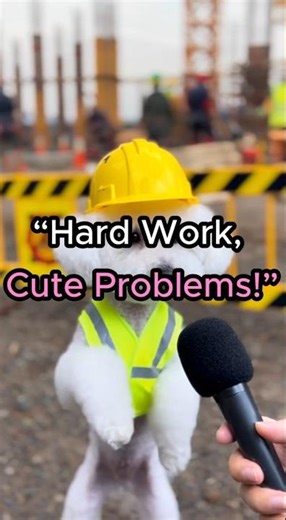 “Funny Construction Worker Puppy Interview.