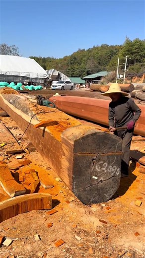 King Tips (@tips_th1138)’s videos with Crunchy Kibble - Monkey Cat Luna