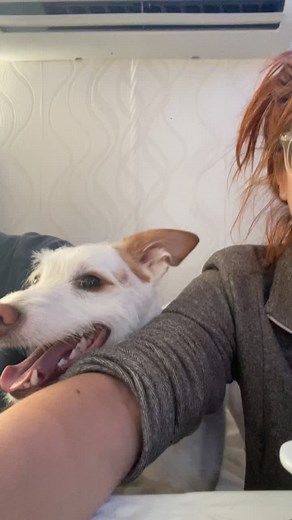 Divertido video de perro comiendo caracoles | Jessy Clemens