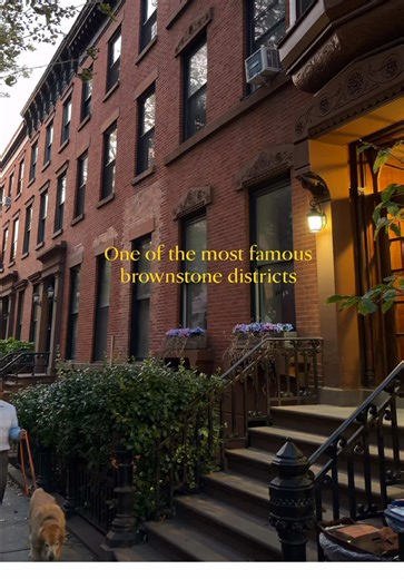 Discover Brooklyn Heights: A Charming Brownstone District