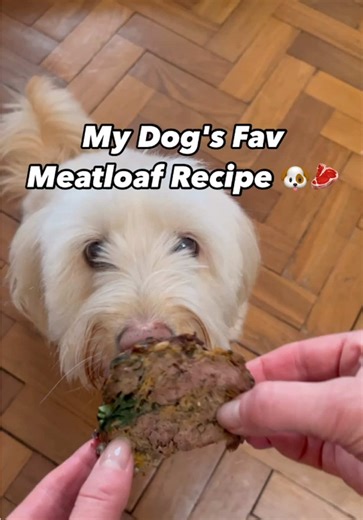 Easy Homemade Dog Food Recipes for Healthy Pets