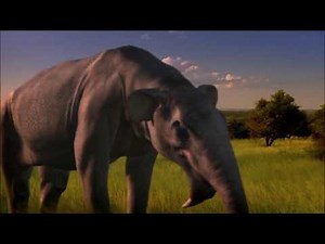 Walking with Beasts - Deinotherium ( All Scenes)
