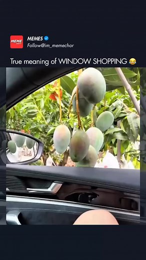 402K views · 69 reactions | Lmao that’s the real window shopping...