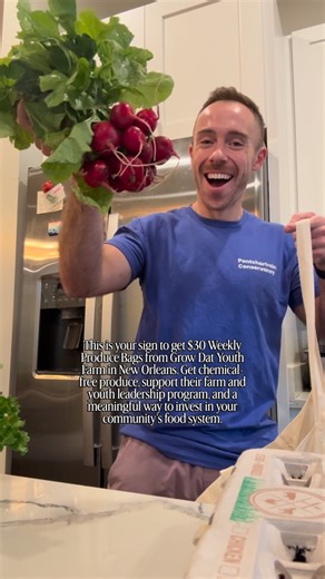 Scot Pilié on Instagram: "This is your sign to join the 29-week Farm Share at Grow Dat Youth Farm in New Orleans. My husband and I just signed up. I’ll put the link in my bio to learn more!🥬🫜🍠 $30 Weekly Produce Boxes. Plus, you’re investing in their farm and youth leadership program, and a meaningful way to invest in your community’s food system. 🌱 #growdatyouthfarm #nola #neworleansfarm #farmnola"