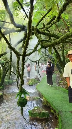 UniQue TraVel ExplOre 🏝 on Instagram: "Step into the mystical Shunan Bamboo Forest — China’s oldest and largest bamboo sea, spreading across 120 sq. km in Sichuan. With winding paths, hidden waterfalls, and cinematic charm, it’s no wonder this natural wonder starred in Crouching Tiger, Hidden Dragon. Location: Yibin, Sichuan Province, China 🇨🇳 🎥 @neture.view"