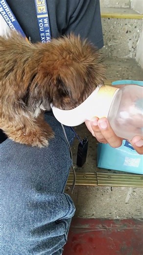 “His way of drinking is so adorable and cute—he really looks like a baby.”