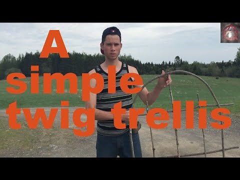 How to make a simple small twig trellis