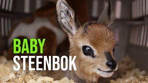 25K views · 1K reactions | Christmas has come early! Over the weekend...