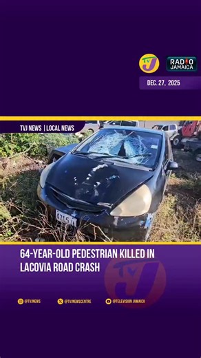 Television Jamaica/Radio Jamaica News Centre | Sixty-four-year-old Phillip Walters of Haughton District, St Elizabeth, was killed after being hit by a blue Honda Fit along the Lacovia... | Instagram
