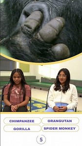 Whose nose is this?? #kidslearning #kidsquizzes #animalsforkids