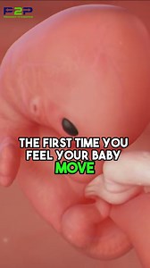 502K views · 4.1K reactions | First Fetal Movement: Quickening ❤ | Pregnancy to parenting | Facebook