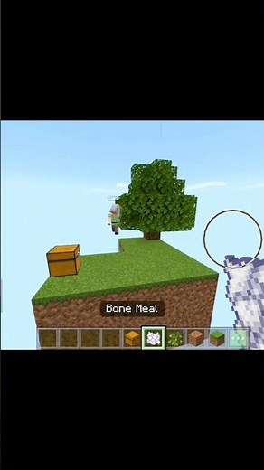 How To Make Skyblock in Block Crazy Robo Games #minecraft